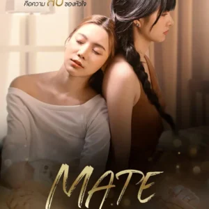 Mate the Series