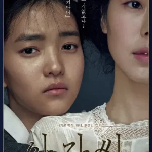 The Handmaiden