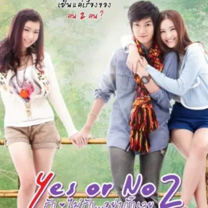Yes-or-No-2