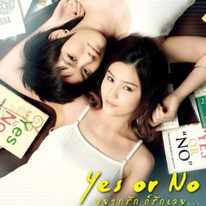 yes-or-no