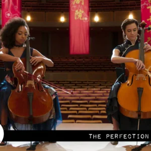 The-Perfection