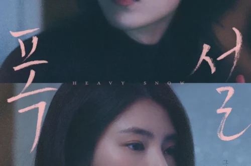 heavy-snow-cover